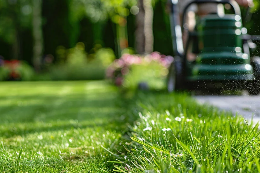 electric push lawnmower